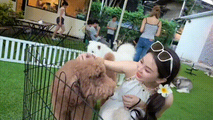 对狗子吹气