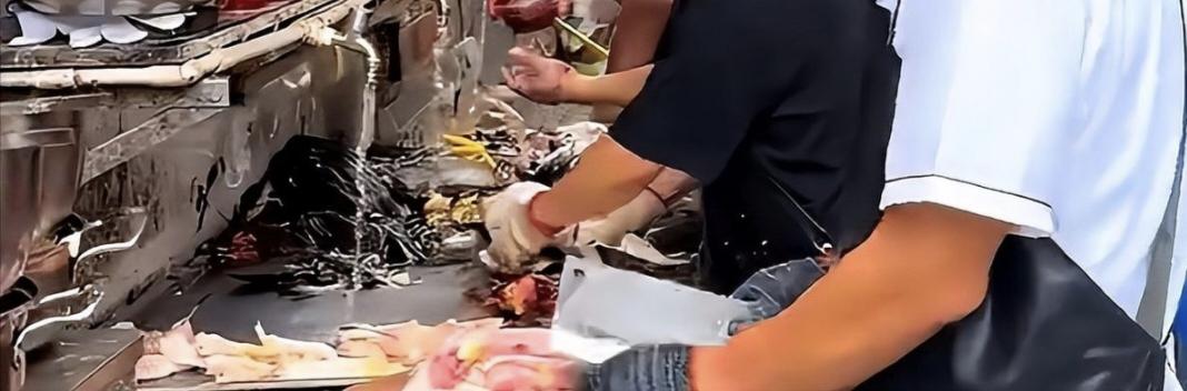 广东佛山有家“最不想火”的鸡煲店，老板被流量逼到腰疼，还呼吁本地人错峰吃饭，这是