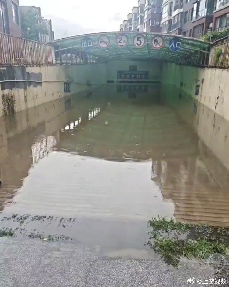 #抚顺遭极端暴雨大量车辆成泡水车#【抚顺遭遇极端暴雨大量车辆被淹，众多外地拖车闻