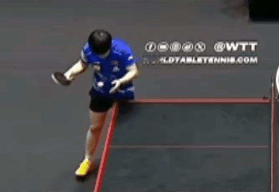 莎莎是给小白球施了魔法吗？
让它在那里定住，
它就在那里定住了，
果然是一个为小