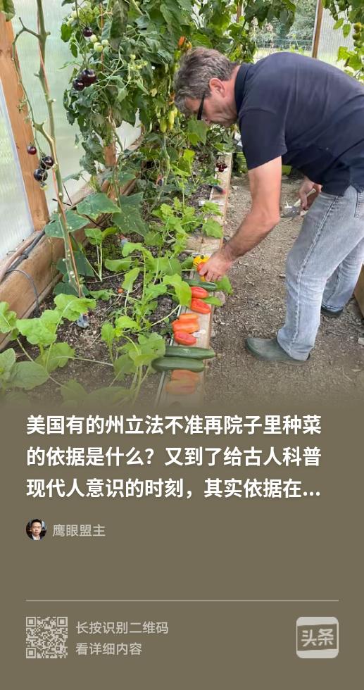 美国的院子不能种菜，美国的院子不能接雨水，美国的房子每年都要交税……，中国有些人