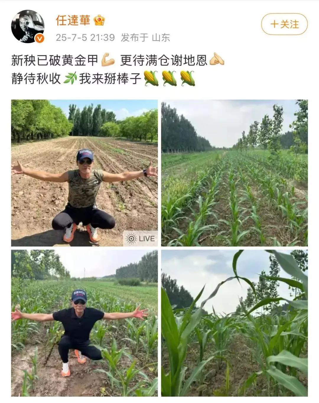 69 岁的任达华现身山东平阴老家，农活不断。先是割麦上热搜，又顶着烈日种玉米。视
