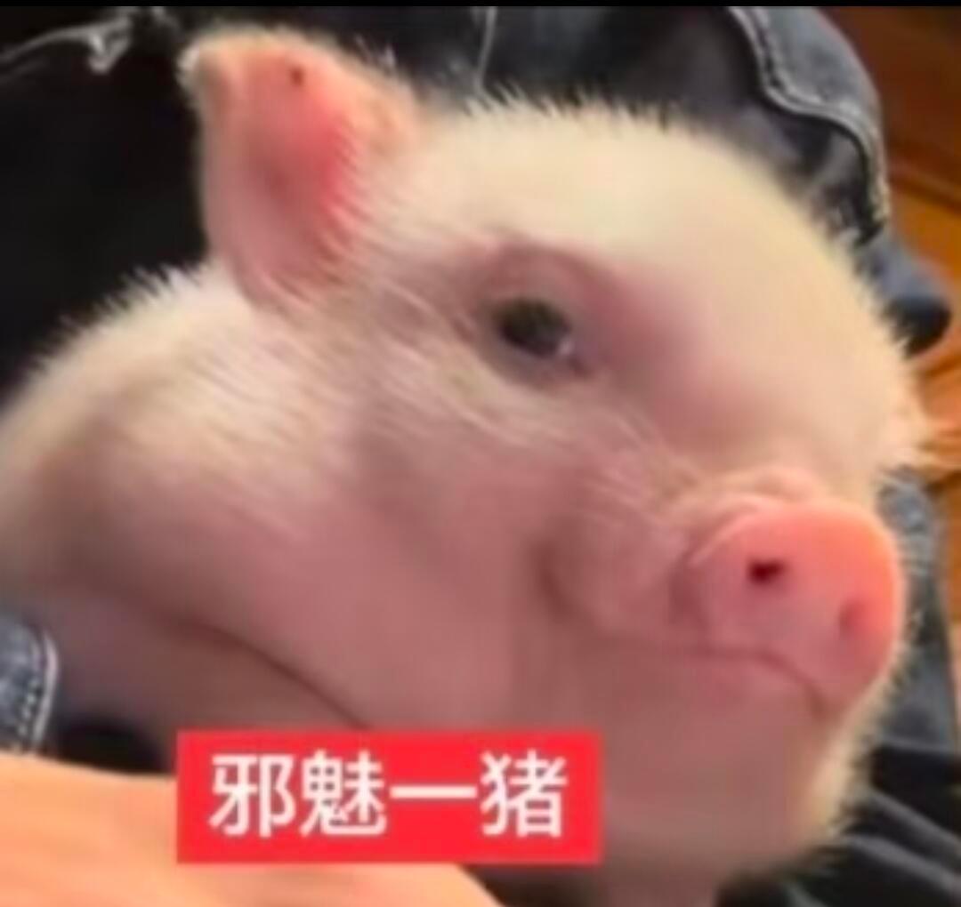 分享图片 ​​​