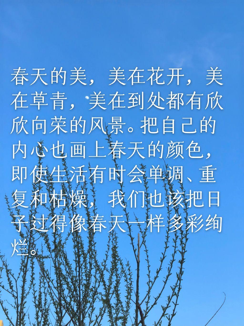 春日花开美如画，心怀春意乐无边。