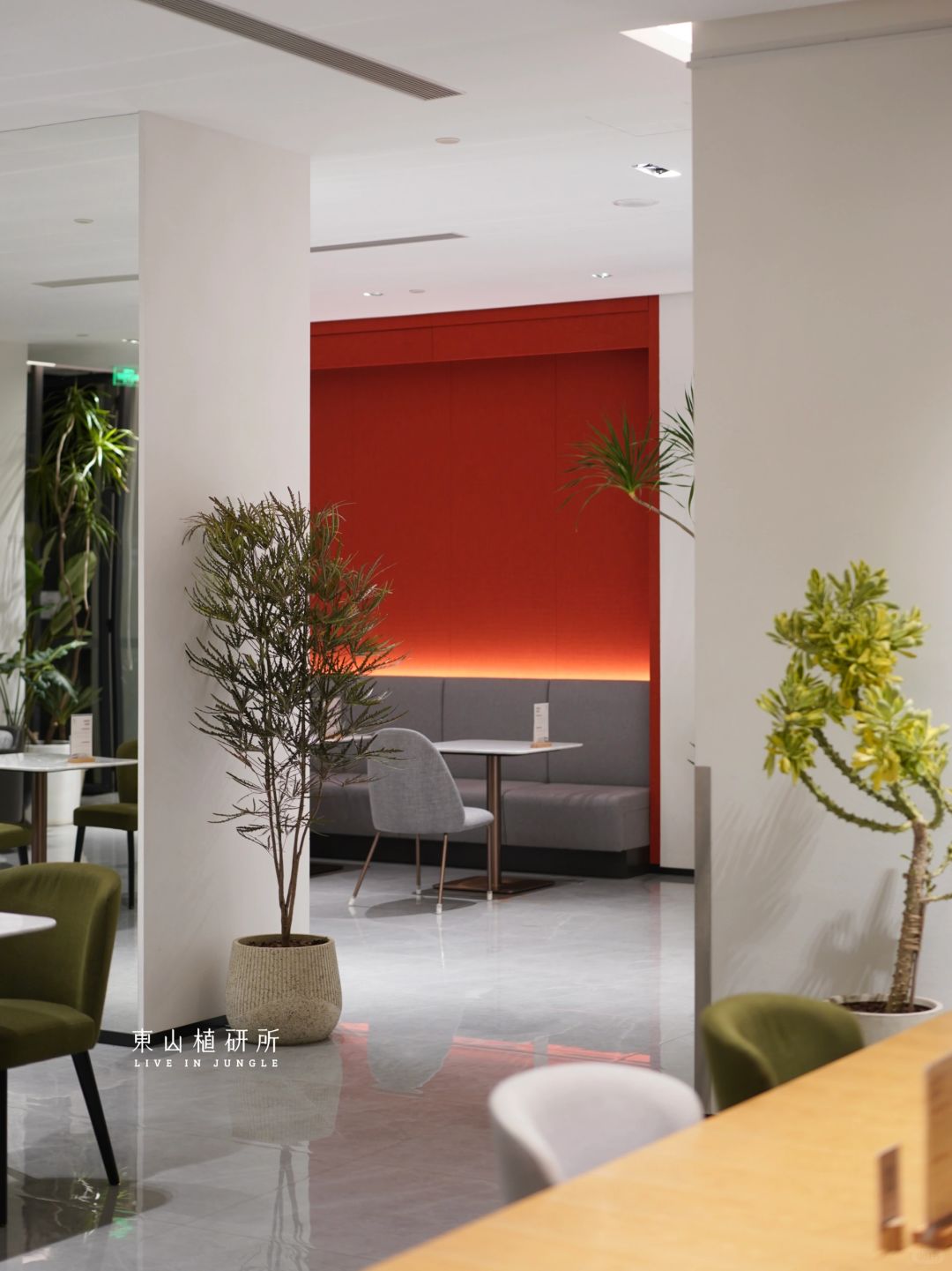 东植x 琪林里|室内落地盆栽 软装的点睛之笔