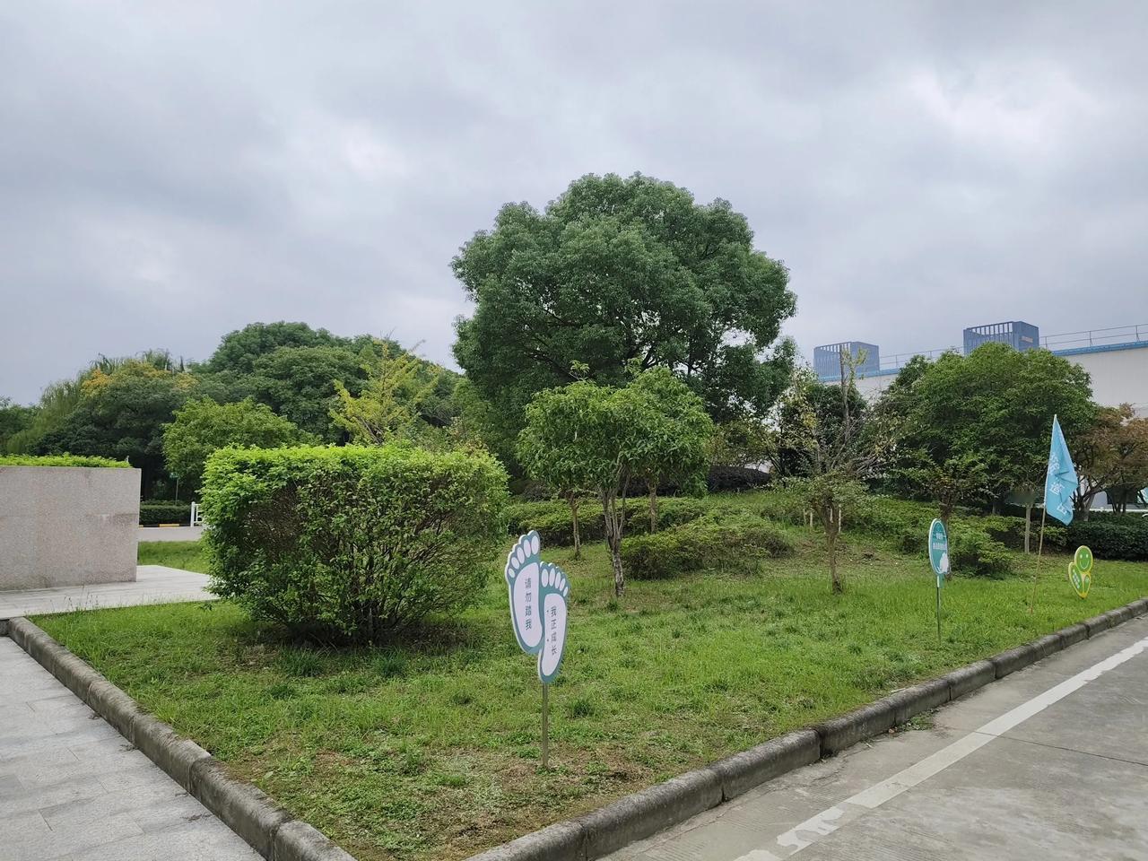 
多想出智慧！但我劝你别多想，现在社会发展太快，变化也快！反而多想出神经，少虑多