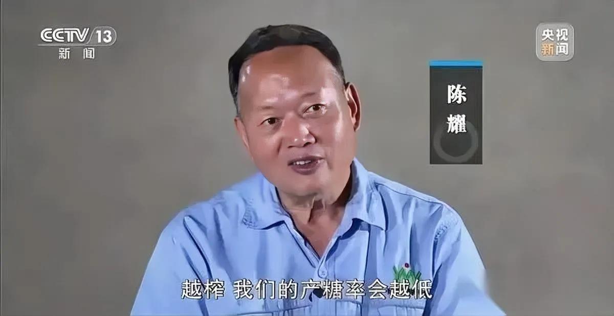 种了一年甘蔗

居然白忙活？

这事儿我真觉得没那么多谁对谁错。

最近化州收蔗