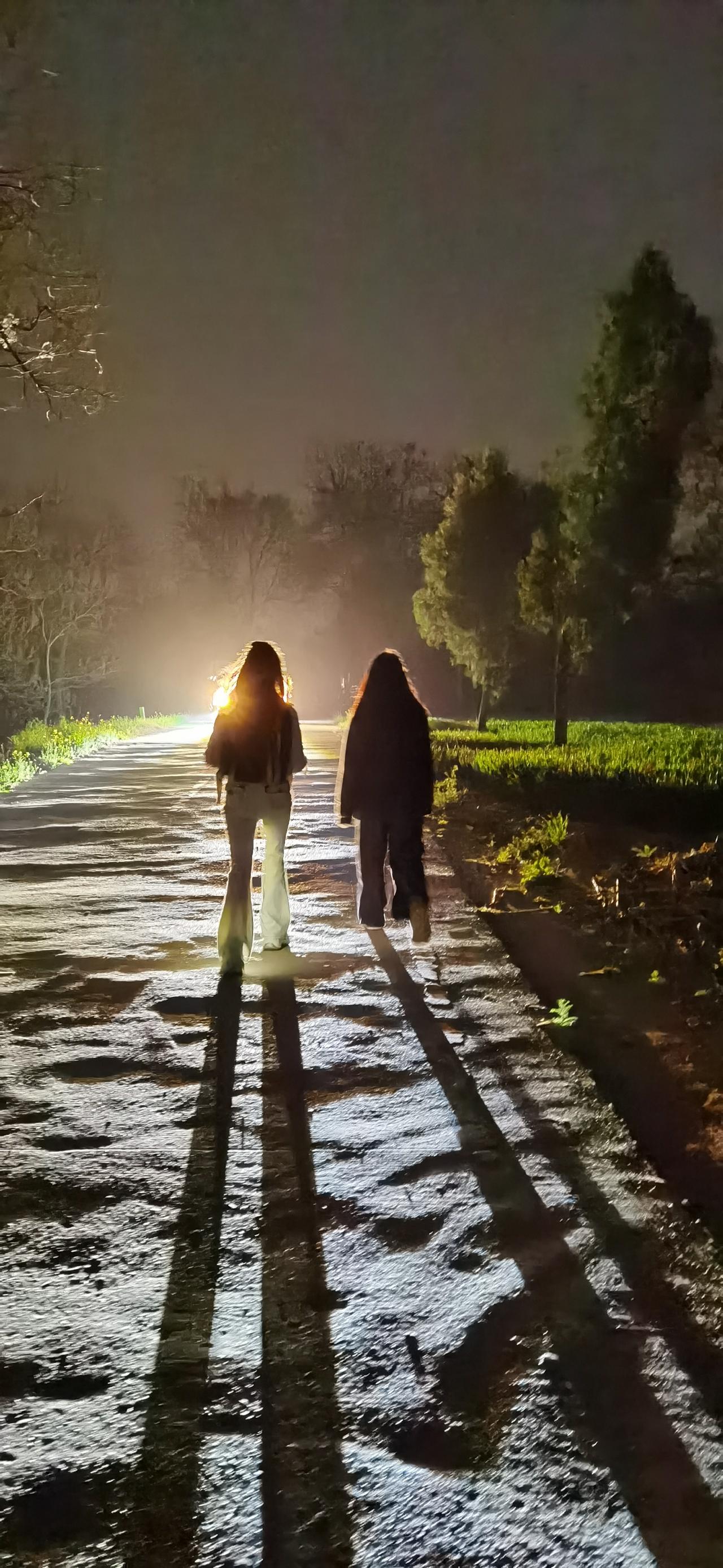 喜欢夜的黑、黑的夜！
黑夜给了我黑色的眼睛，
我却用它照亮黎明！
藏在灯里的温柔