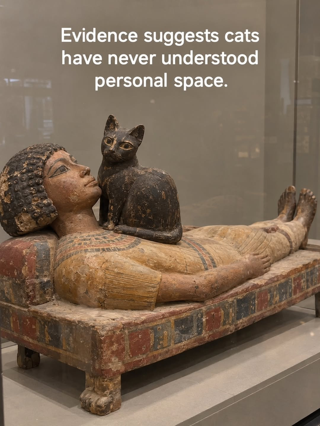 这么一看，古代的小猫和现在的小猫习惯是一样的 ​​​