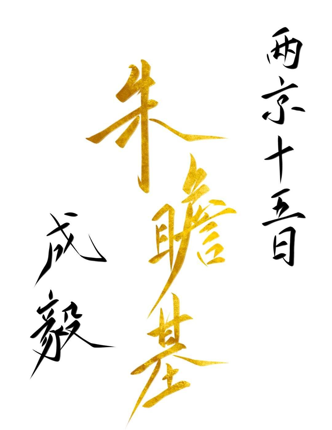 奔袭两千里，两京十五日
两京十五日 成毅 成毅朱瞻基