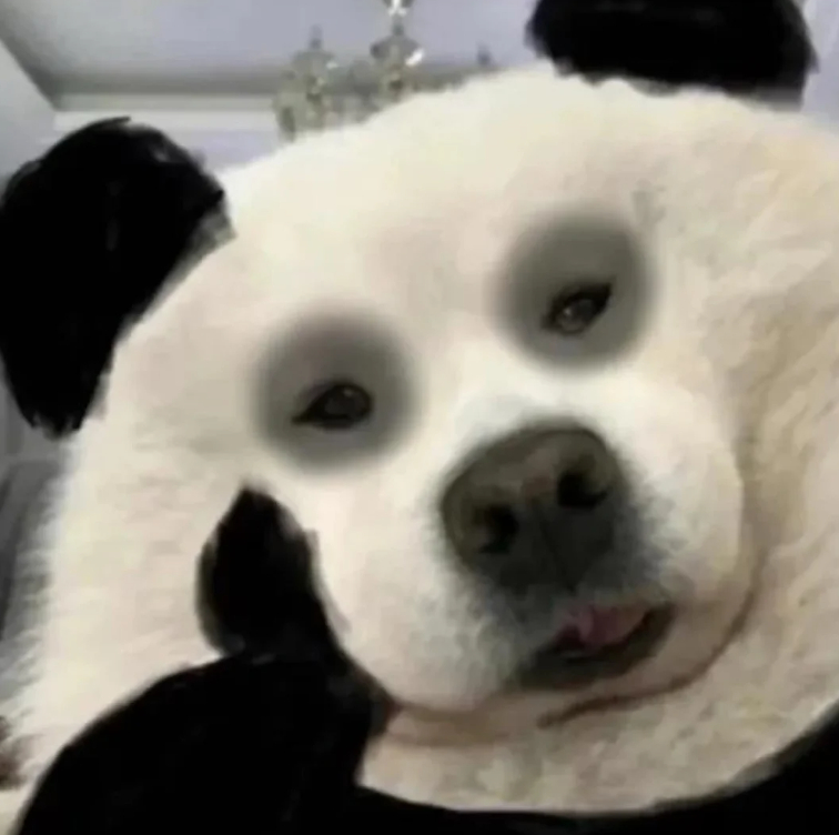 长期晚睡会发生什么 熬夜真没什么好处，与其熬夜一直玩，白天一直睡，不如早起玩 ​