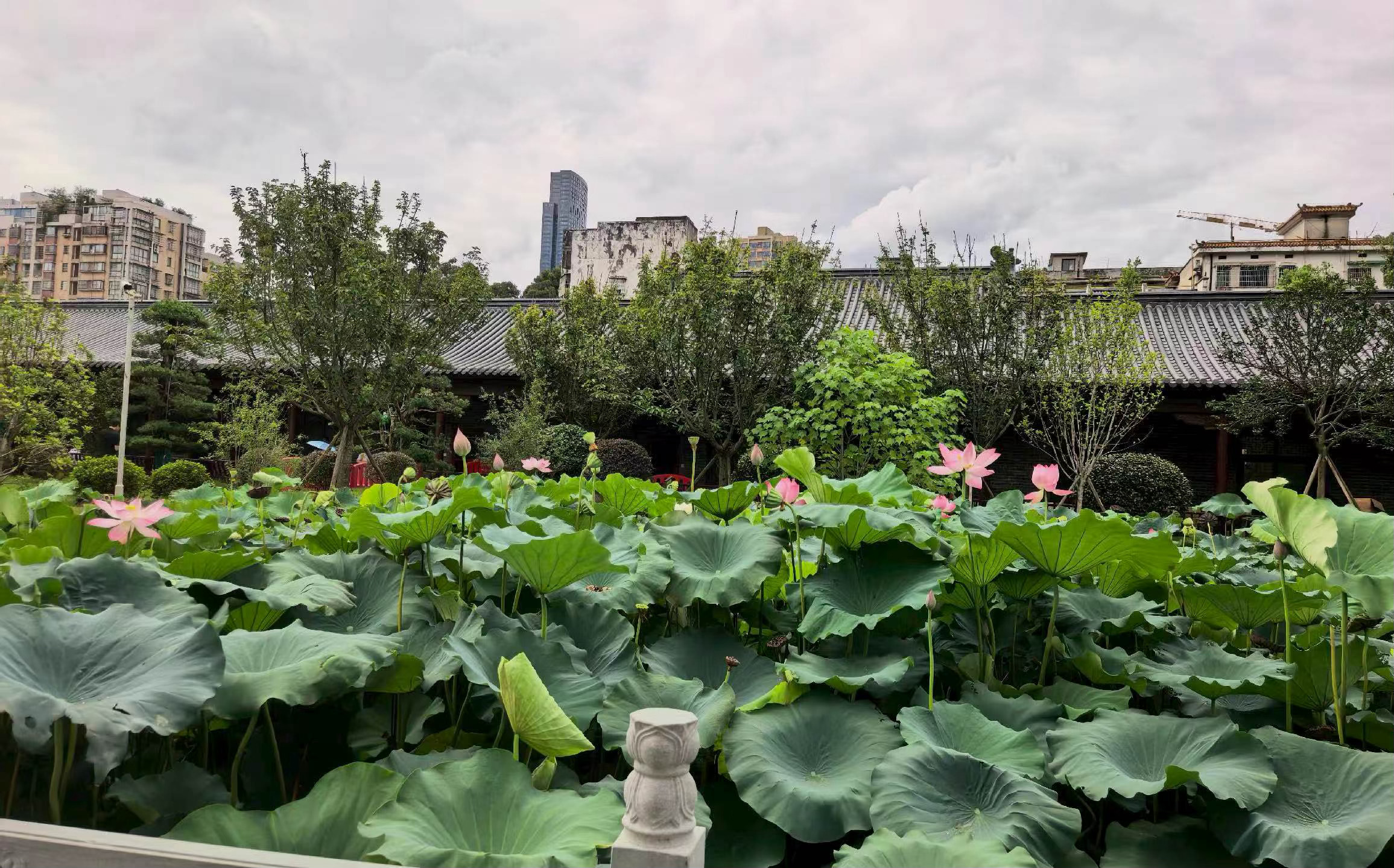 早安，愿你拥抱每一个清晨，珍惜每一刻时光。 ​​​