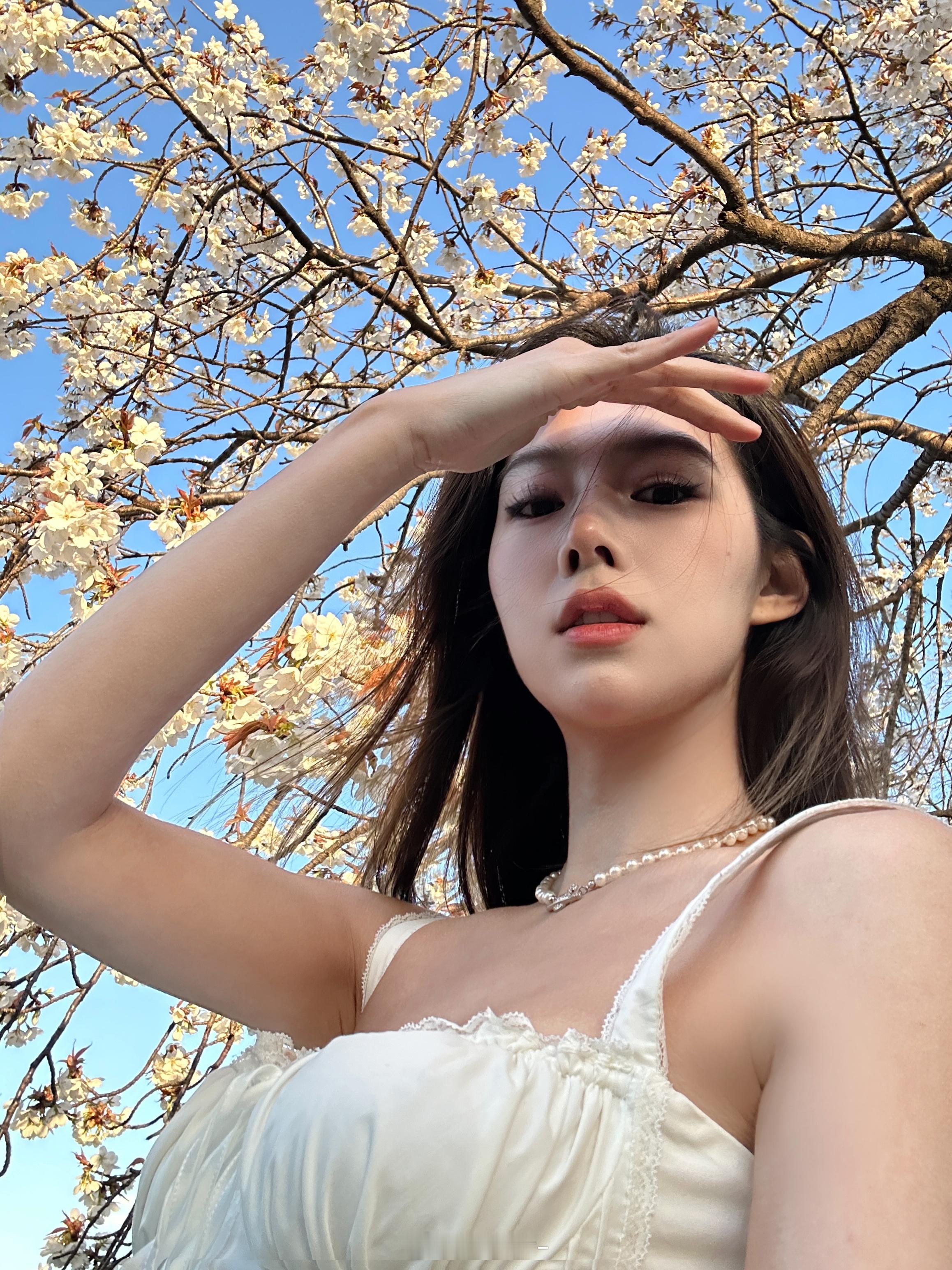 和樱花 ​​​