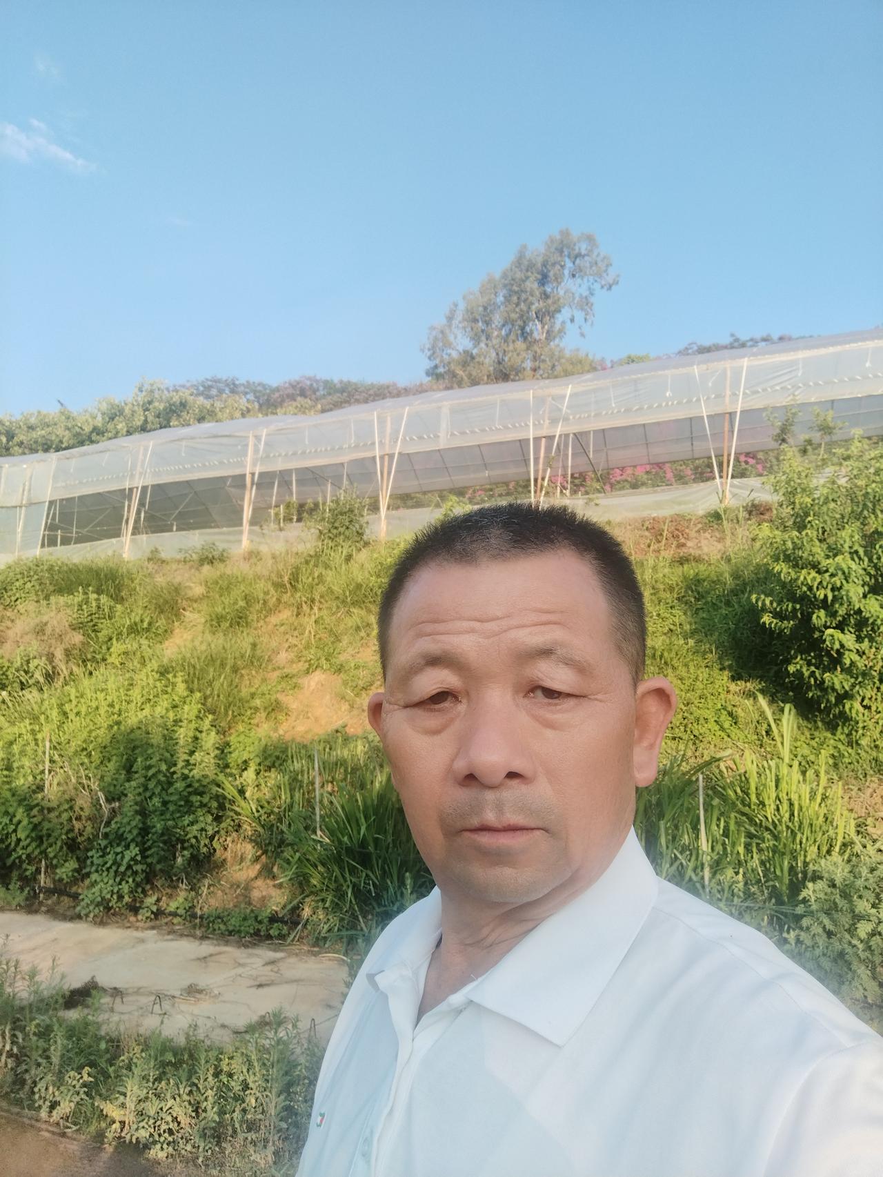 时光匆匆，转眼就老了。