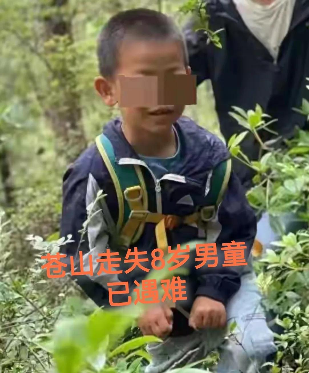 男童被找到，不幸已遇难。
苍山传来消息，13日，来自北京的失踪自闭症男童，下午在