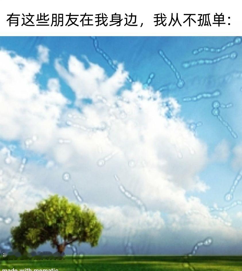 睁眼就是 