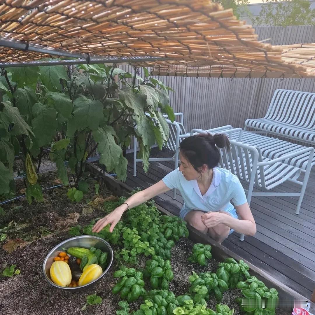 10日，演员李英爱在自己的Instagram上上传了多张照片，并配文“这个夏日周