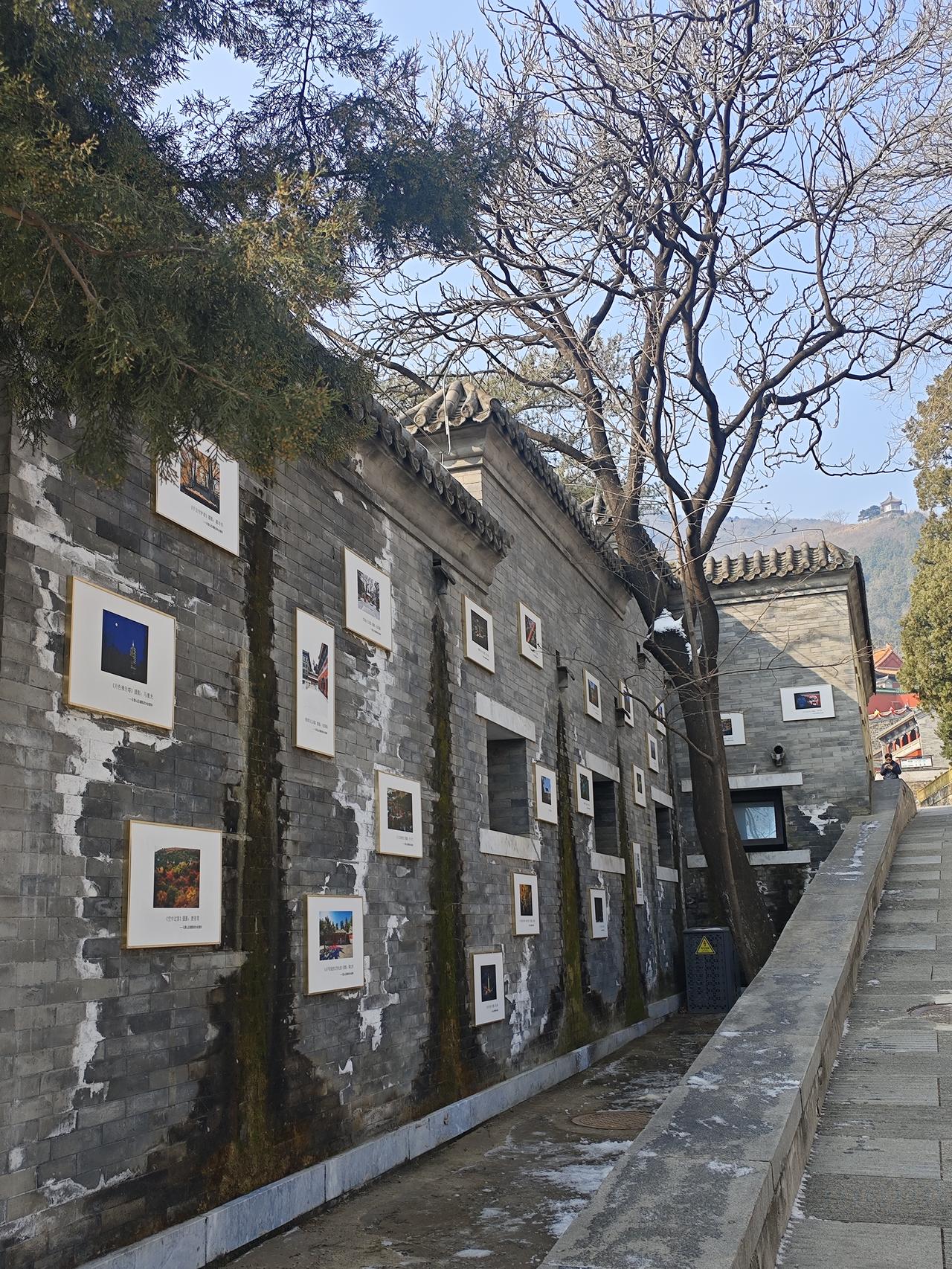 中年社交感悟——六十岁以后，社交就不要太复杂了，经常不联系的，该删就删了吧，身边