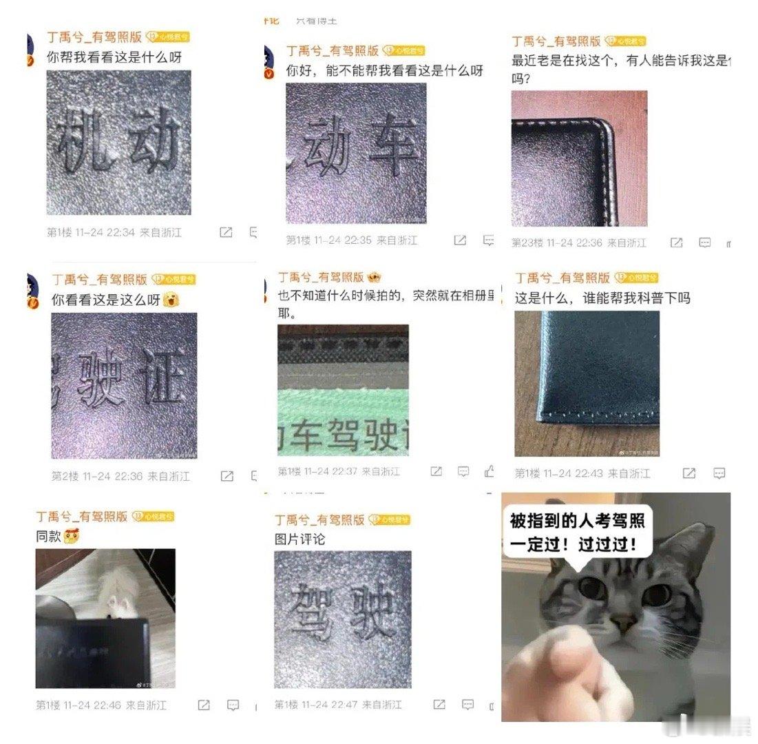 丁禹兮老来得C2  丁禹兮连晒16条驾照大头贴其实0人在问玉溪的驾照，但他能一晚