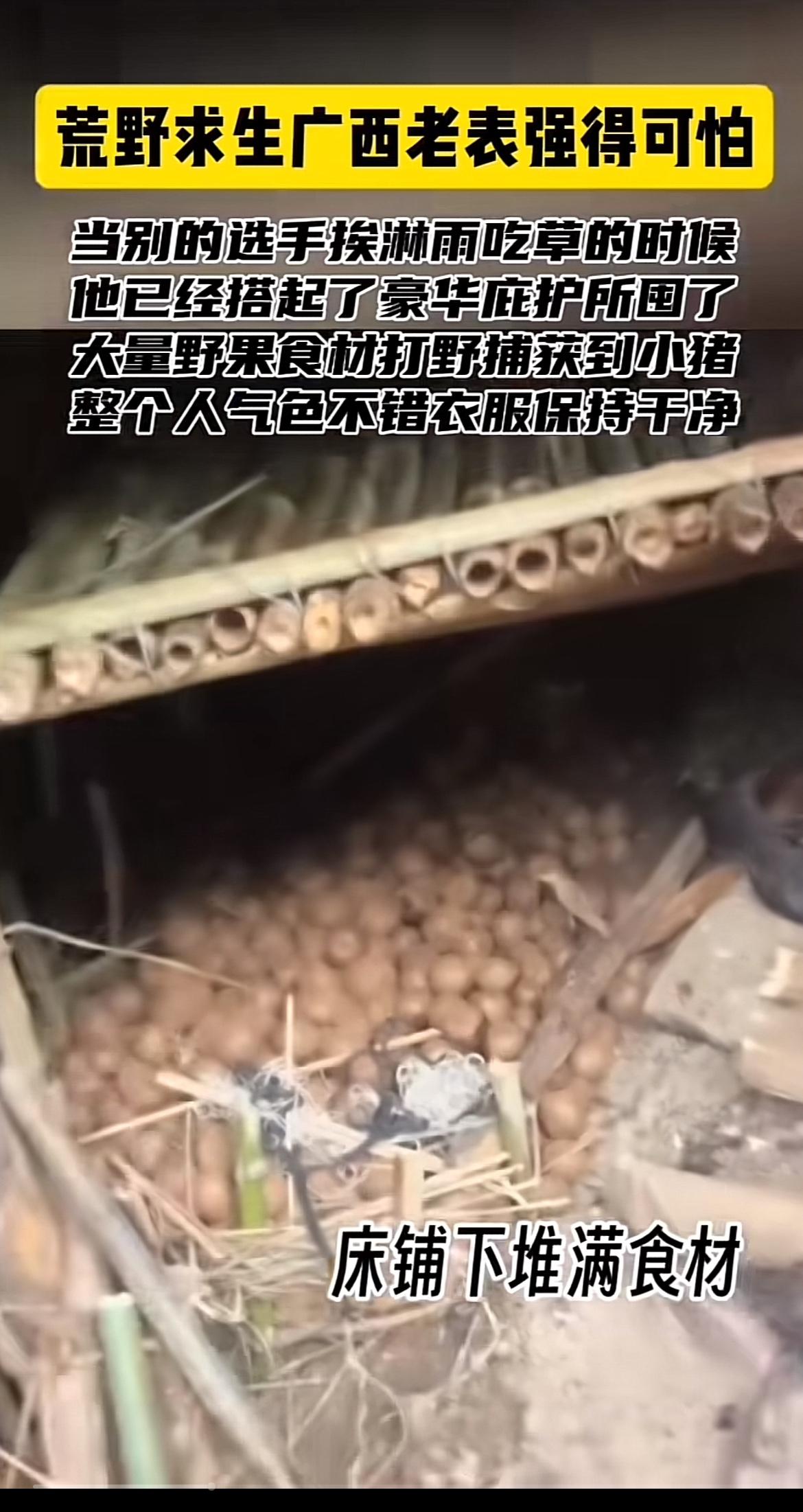最近，广西老表的荒野求生视频火爆网络。别的求生者饿得饥肠辘辘，只能栖身于破棚之中