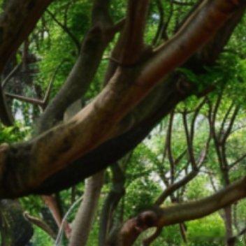 有时候，情侣吵架，是在比惨——谁付出得更多，谁得到的更少，谁更忙更累，谁应该得到