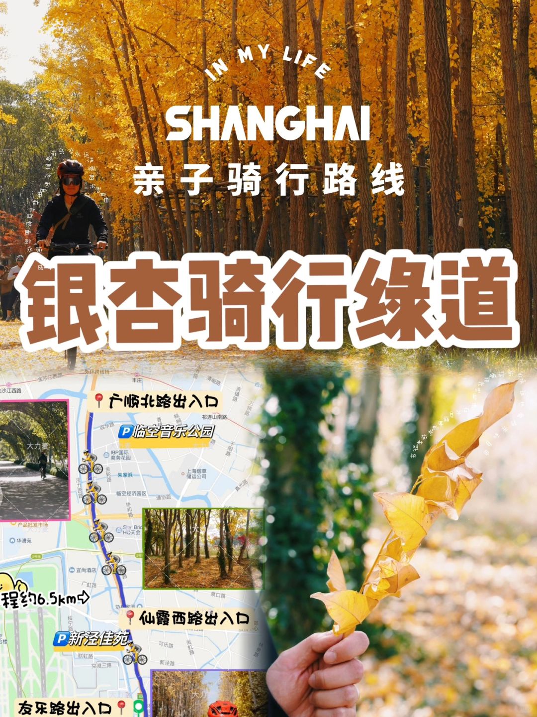 亲子骑行｜长宁绿道黄啦🍂附银杏点位攻略👉