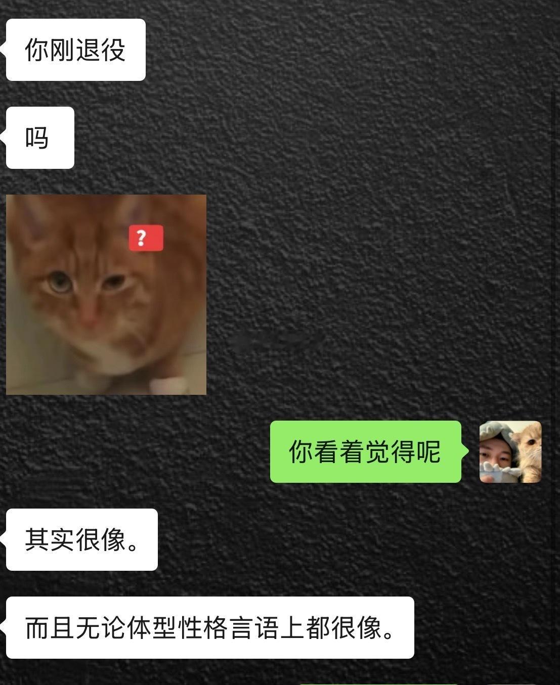 刚退役罢了。 