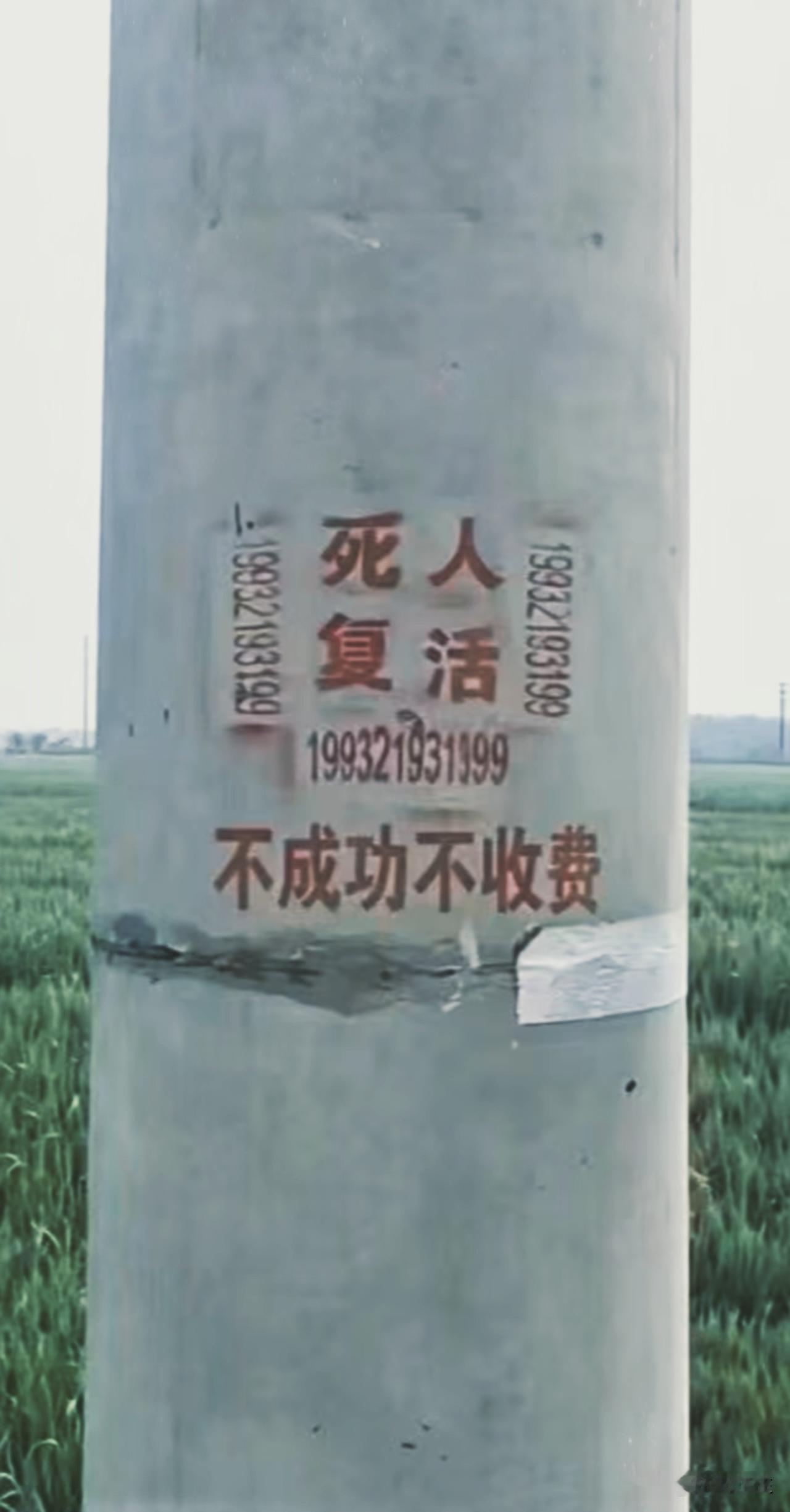 真正的高手总在民间，但就是不知到底有没成功过的案例？