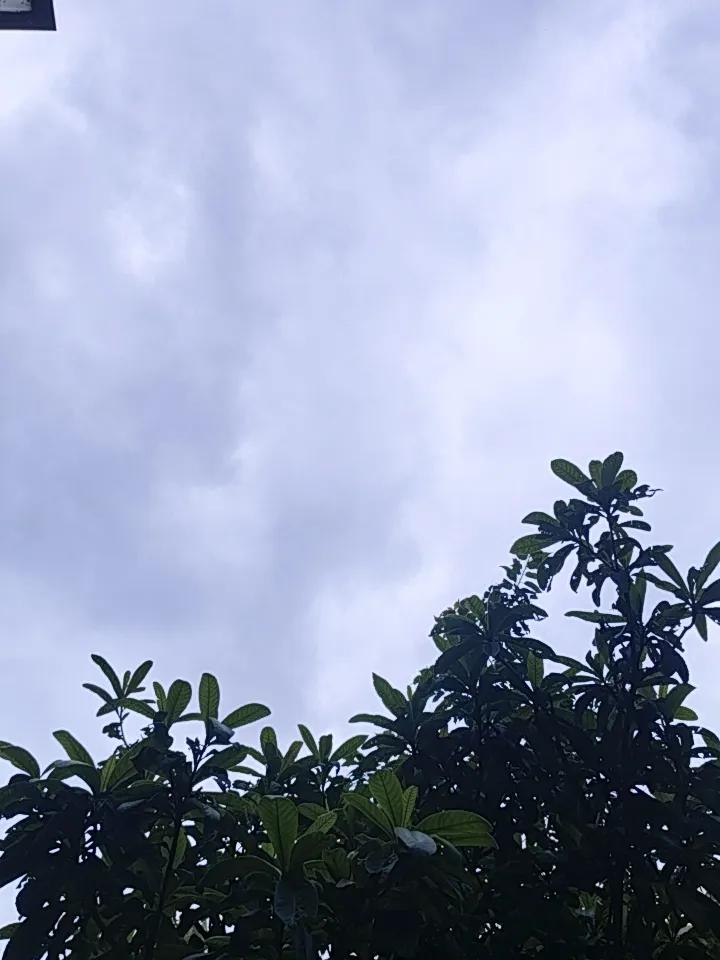 昆明这天气，真像个调皮的孩子，让人摸不着头脑。就拿最近来说，早上老是阴沉沉的，出