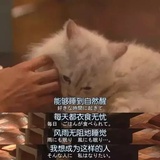 暖丽丽逛逛科技