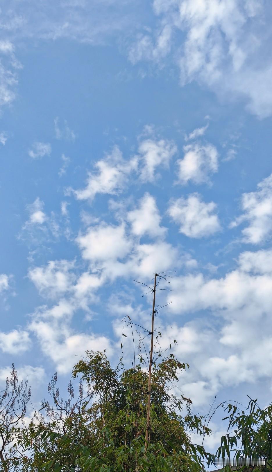 春日养生宜早睡早起，多开窗通风。饮食清淡少酸多甘，多吃蔬果。适当踏青散步，舒展阳