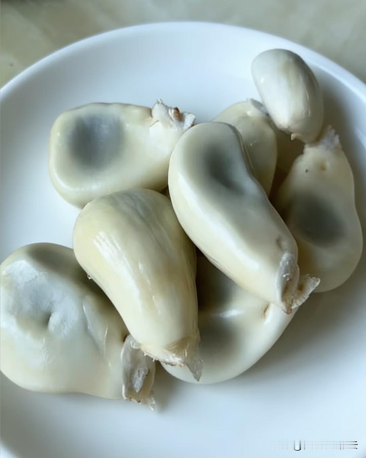 谁知道这个东西