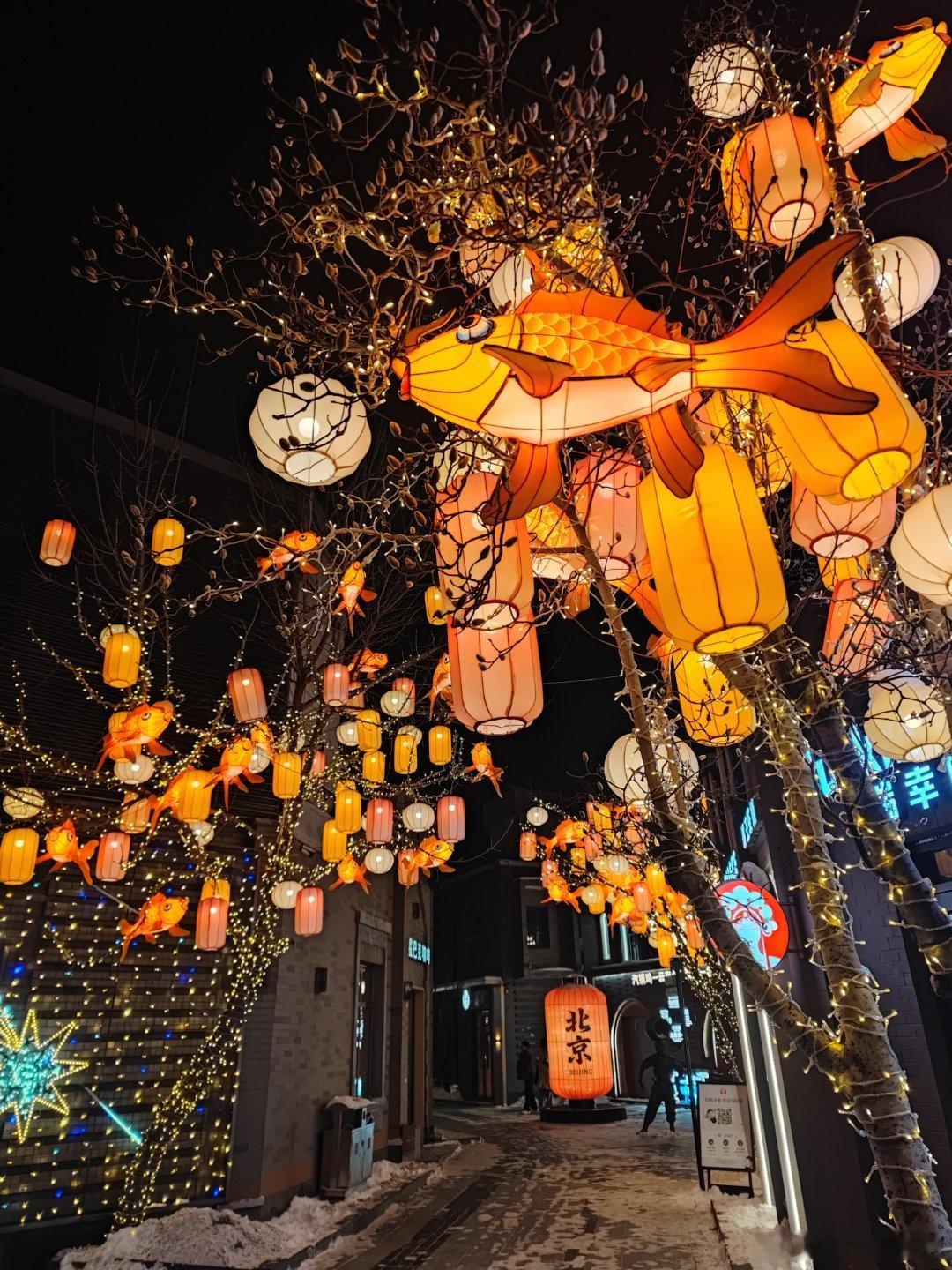 西苑地铁站外的新年花灯摄影