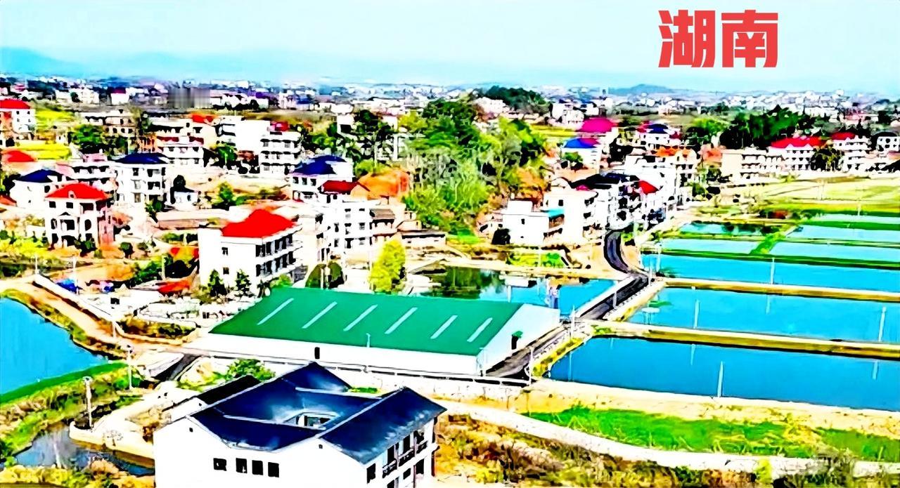 个人给湖南经济发展的一个建议，那就是湖南农业的发展。这个很简单，湖南人口不是流出