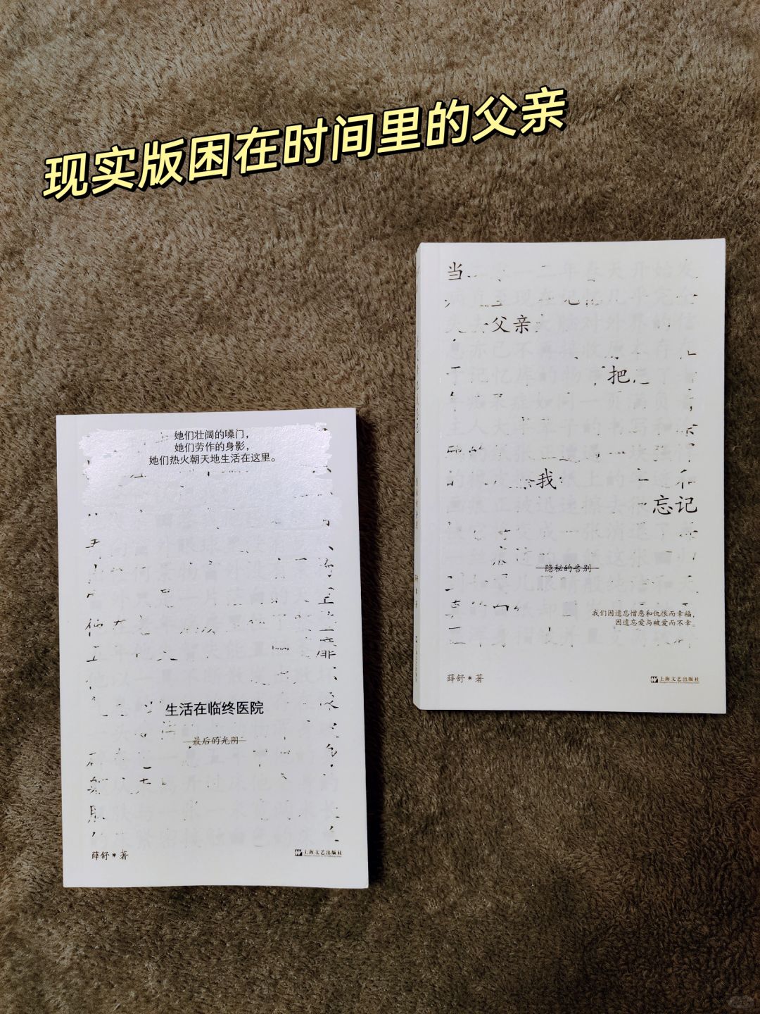 边看边哭❗如何陪伴至亲度过最后的时刻❓