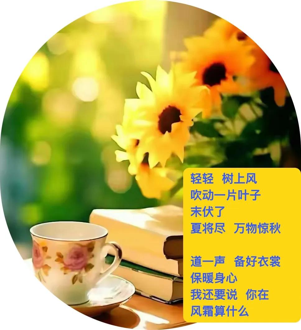 从夏天走来
照照秋天镜子
是不是觉察
鬓边  时间细微变化
．
真是   没有一