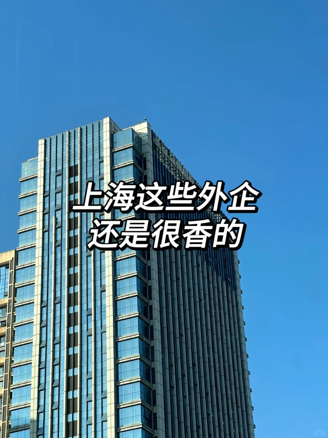 上海这些外企还是很香的