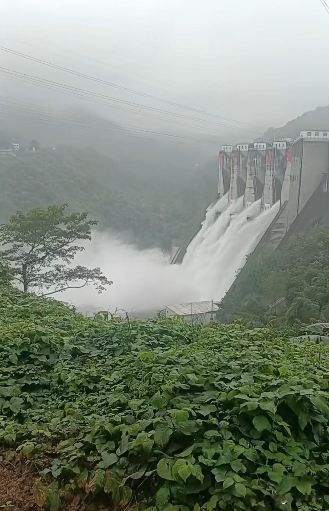 都在计划着国庆去哪里玩时，
百色和崇左却正在经历着洪水泛滥！
受台风残余的影响，