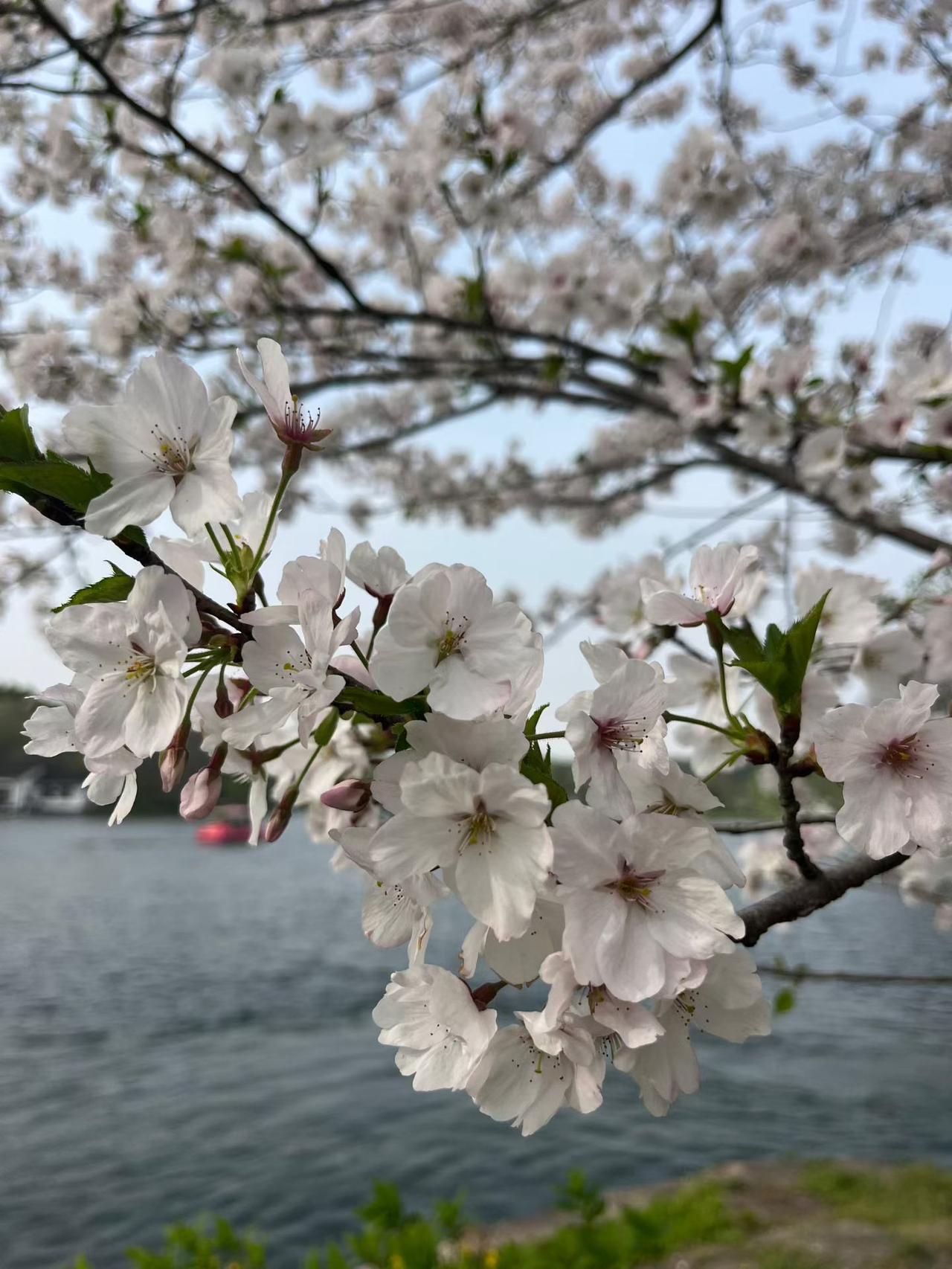☀️
美好的一天开始啦！

生活向阳，人生向暖，以欢喜之心，慢度日常！