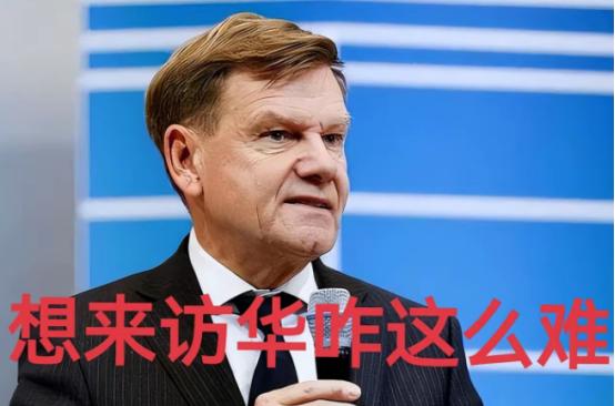 这货是德国外长瓦德富尔，多次发表涉台不当言论，访华被拒，竟然邀请蔡英文，沈伯洋去