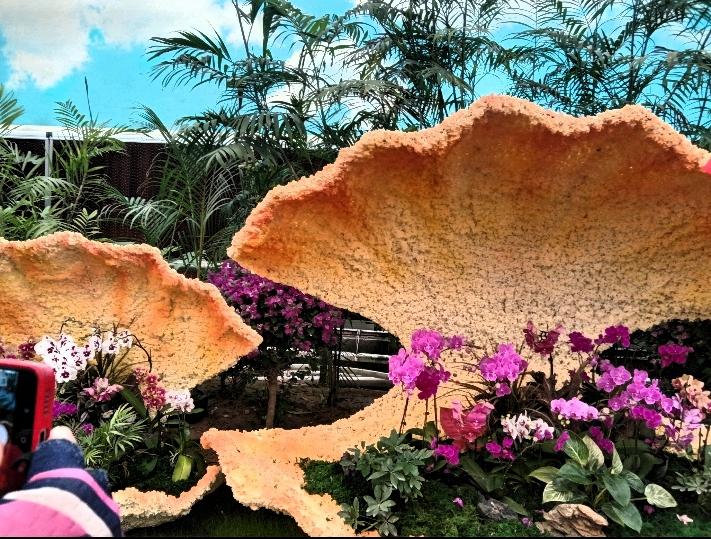 今天逛绿博园，一进门就被这个景观吸引住了。

几个大大的贝壳造型张开着，里面满满