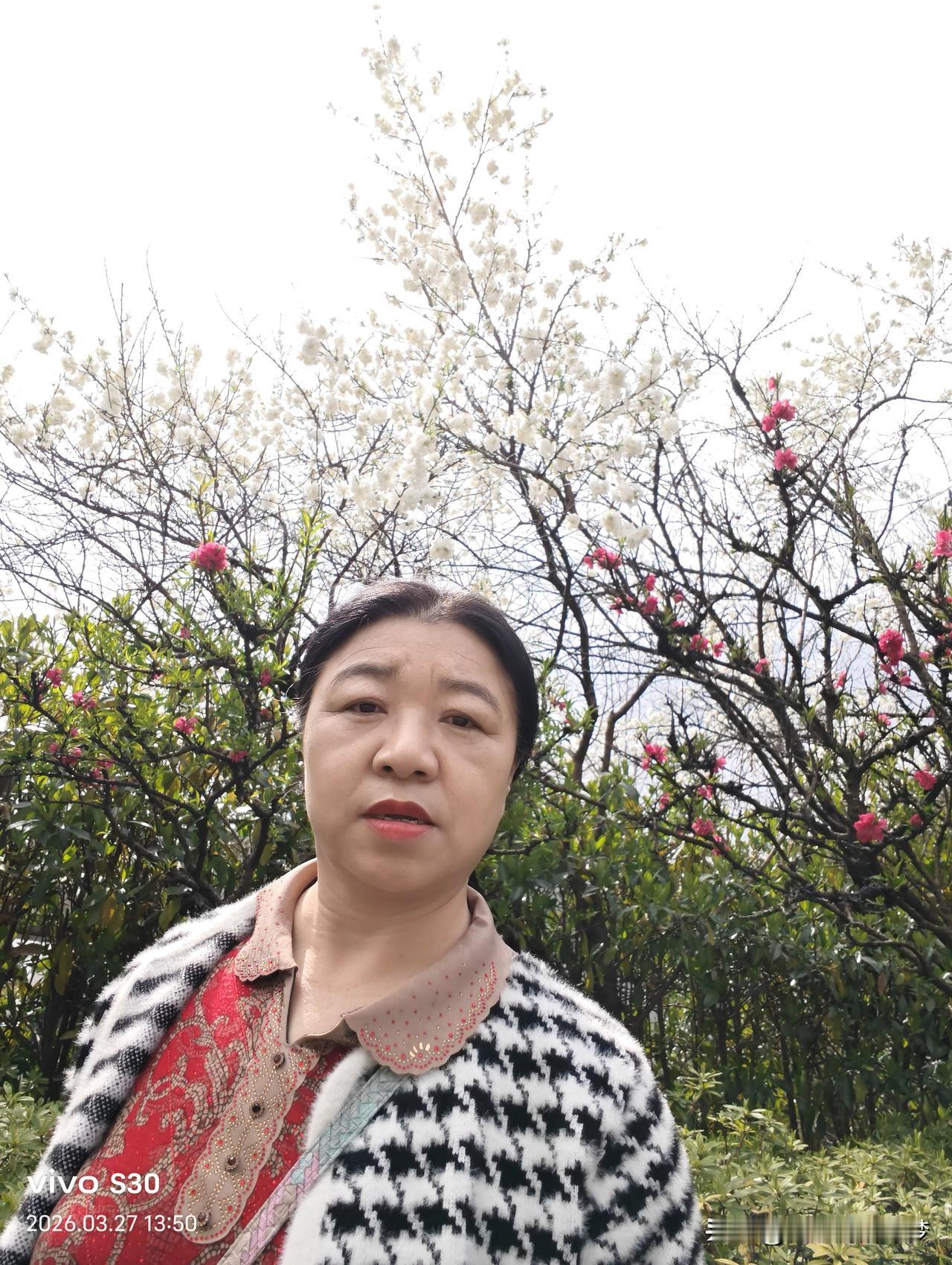 随手拍张照