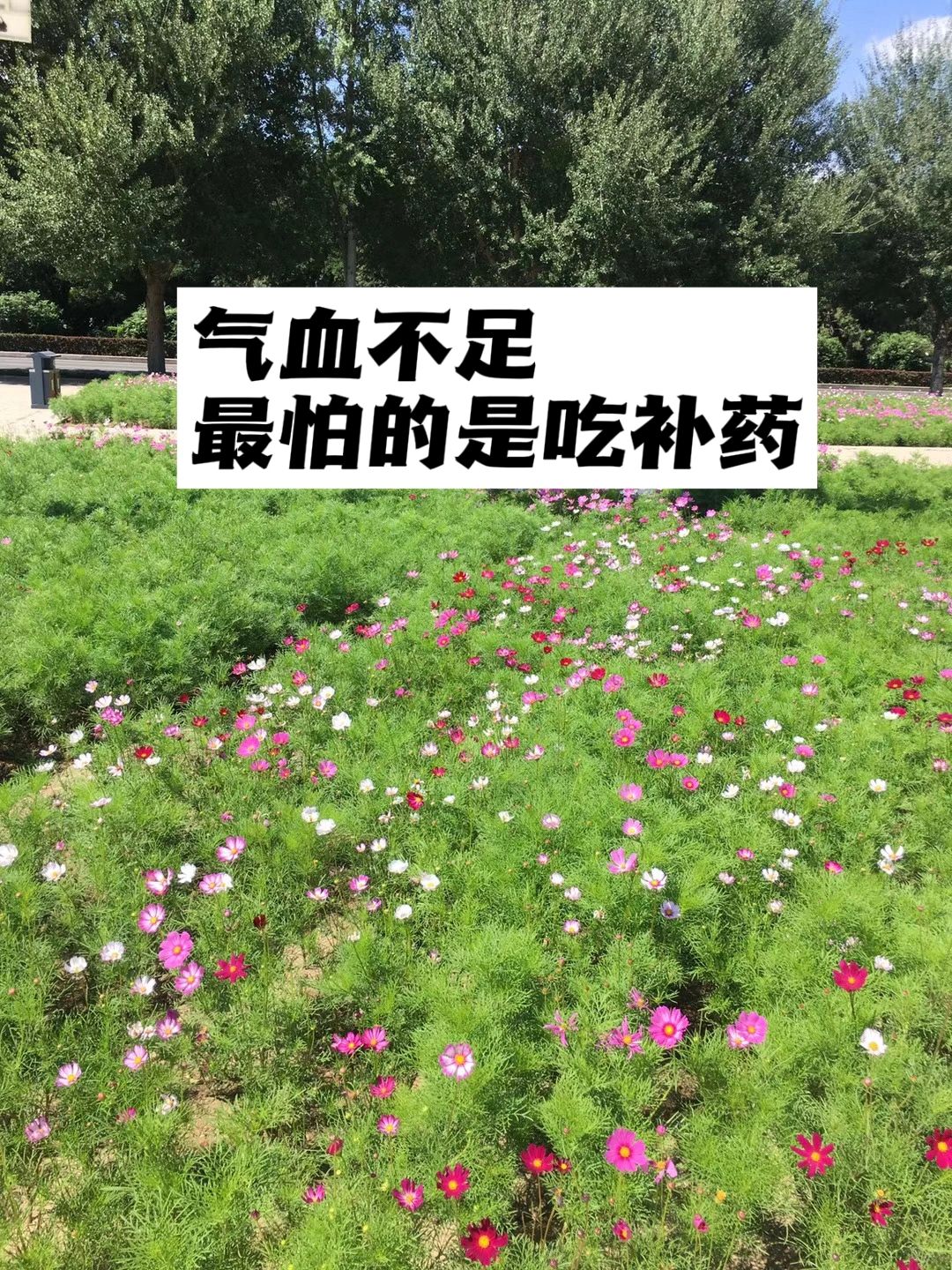 气血不足，最怕的是吃补药.