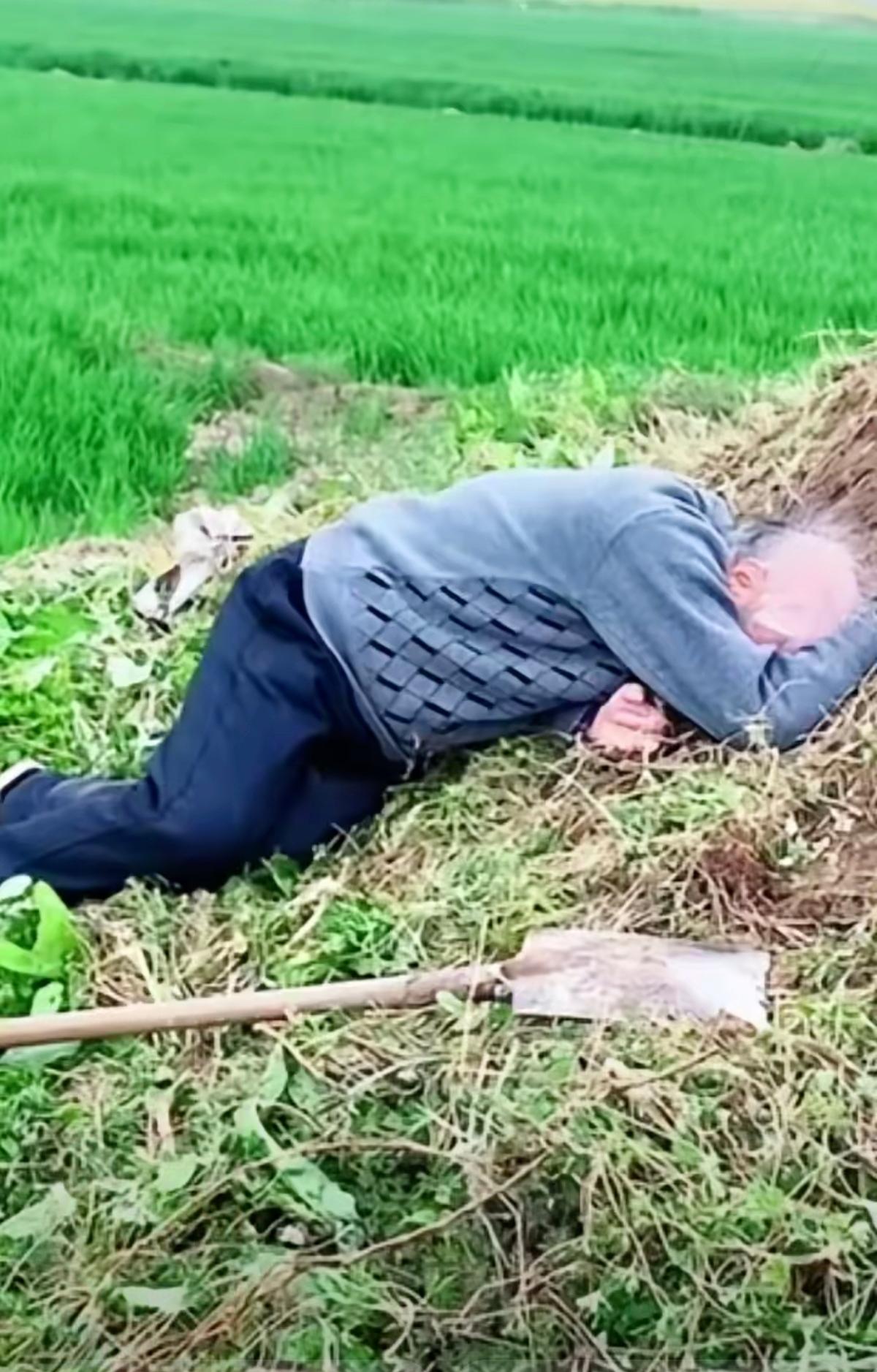 泪目！80岁老人执意给父母上坟，半小时的路，硬是磕磕绊绊走了两小时。
 
   