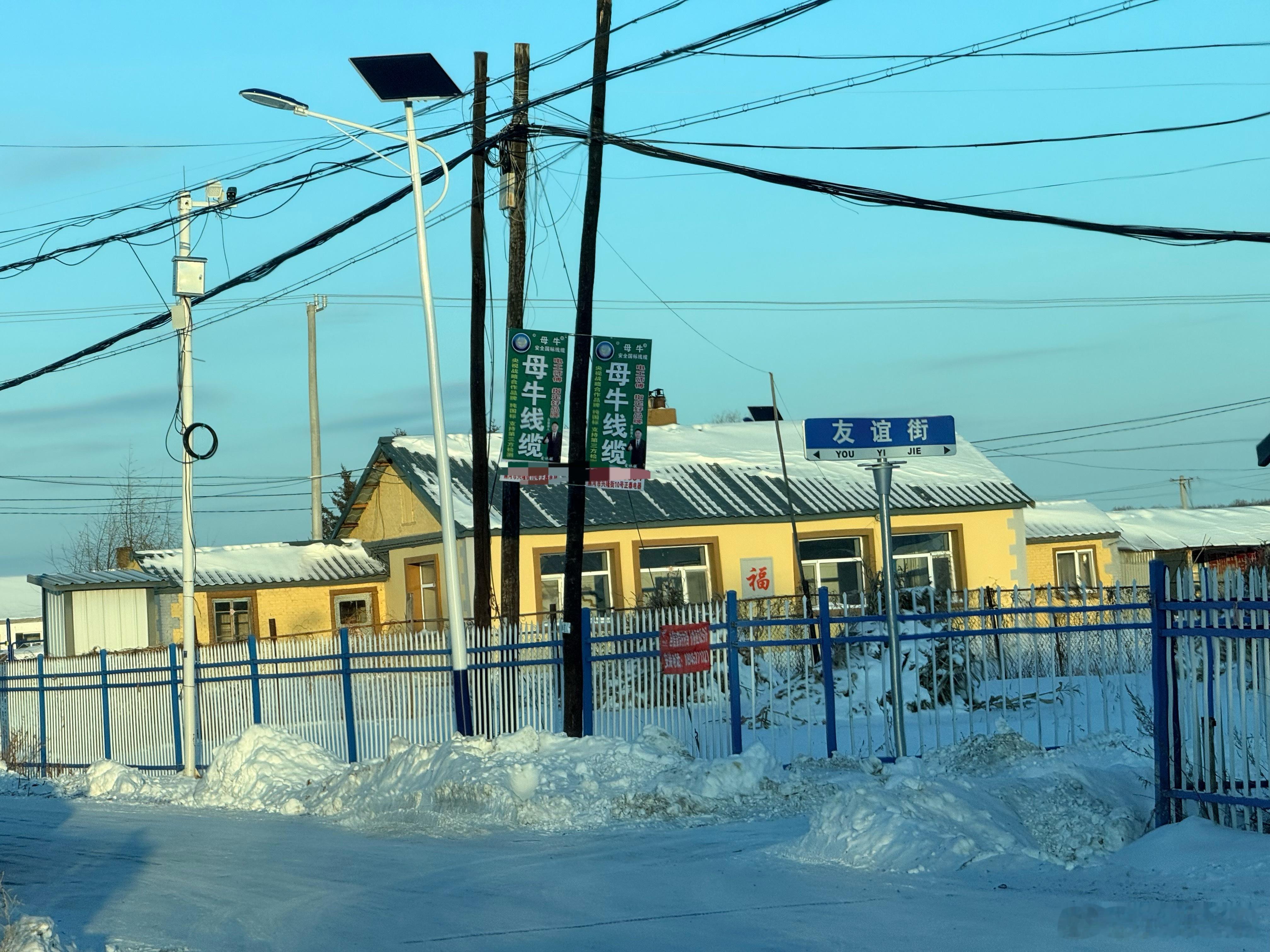 母牛线缆…我只知道公牛插座