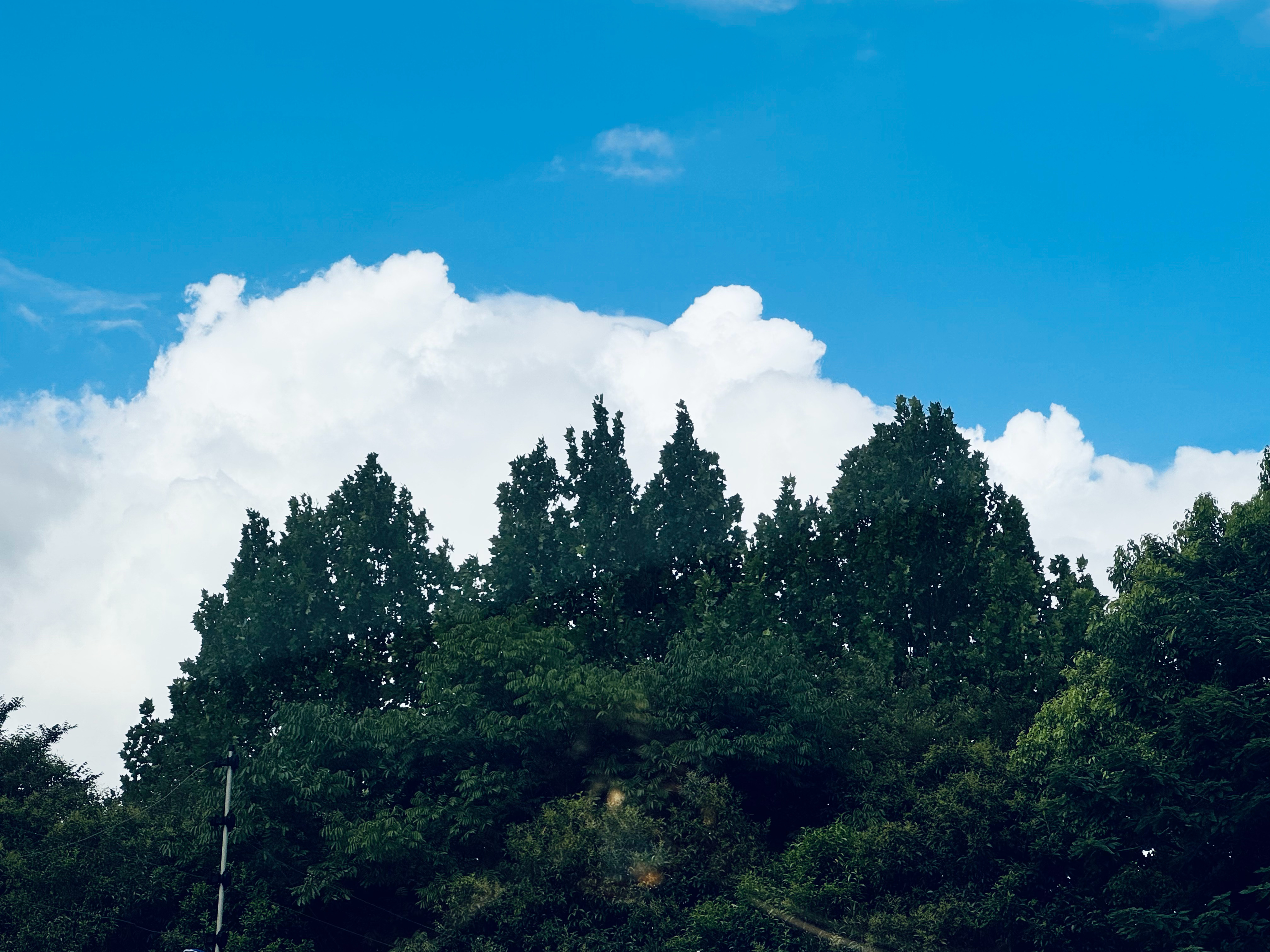 雪山在边上  ​​​