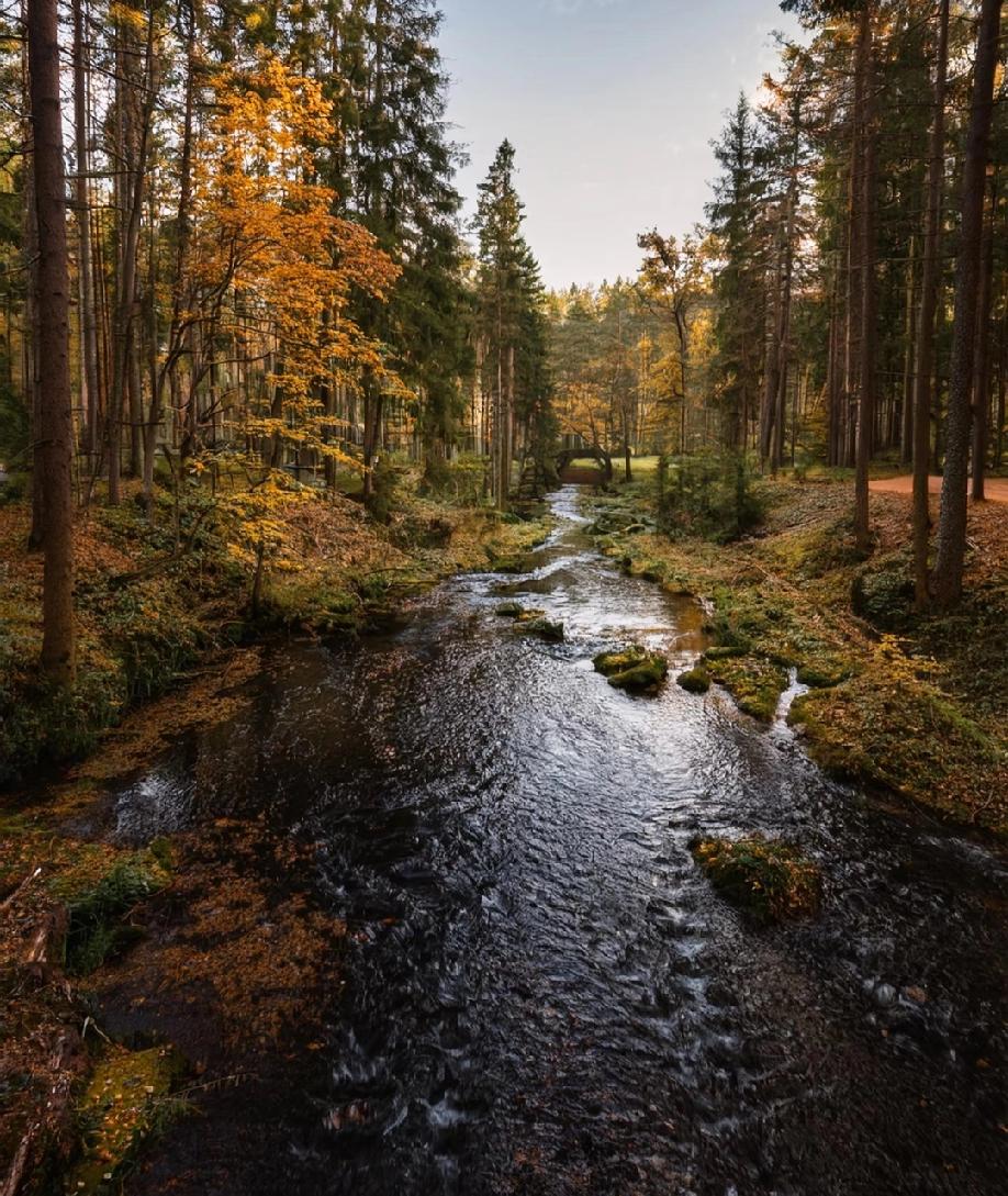 看到这样一段话：“男人和女人最大的区别就是：女人爱到深处就是宽衣解带，这是对你最