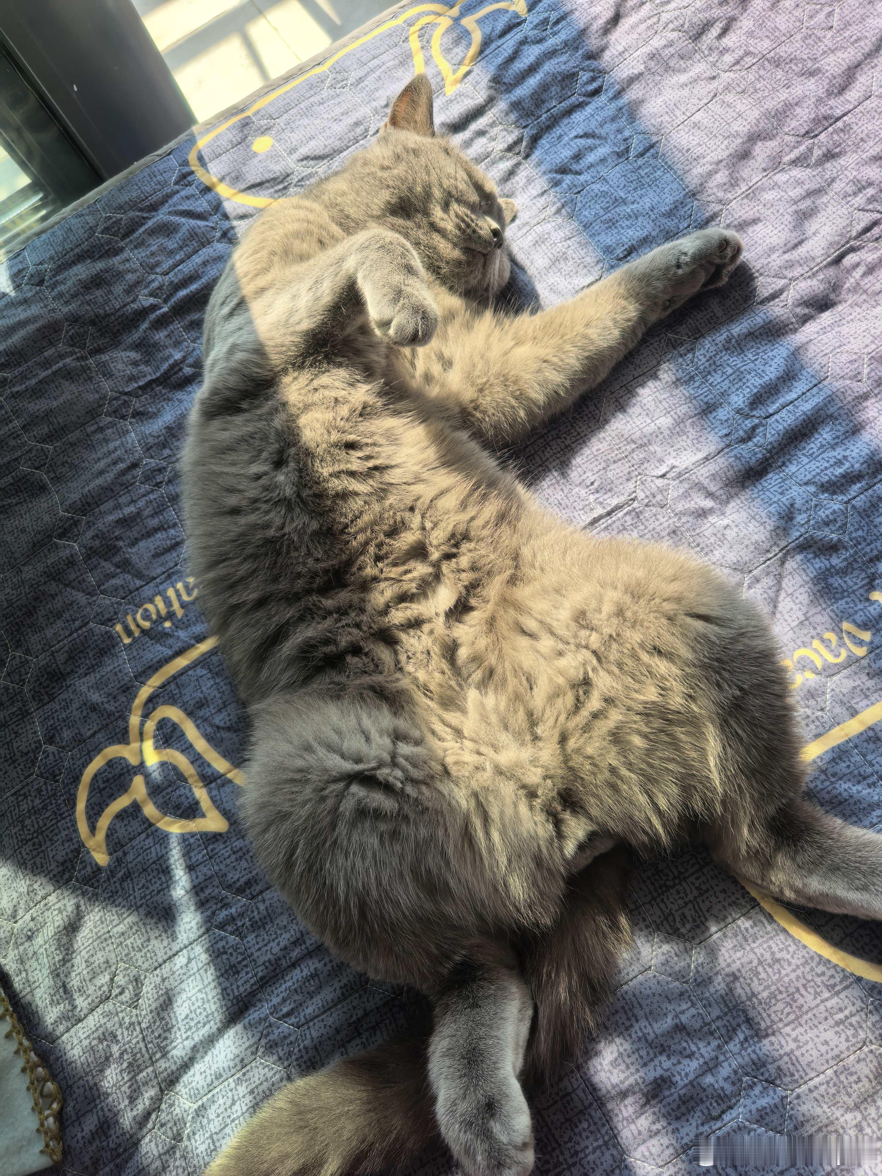 好几周没回家看你了想你妈了 