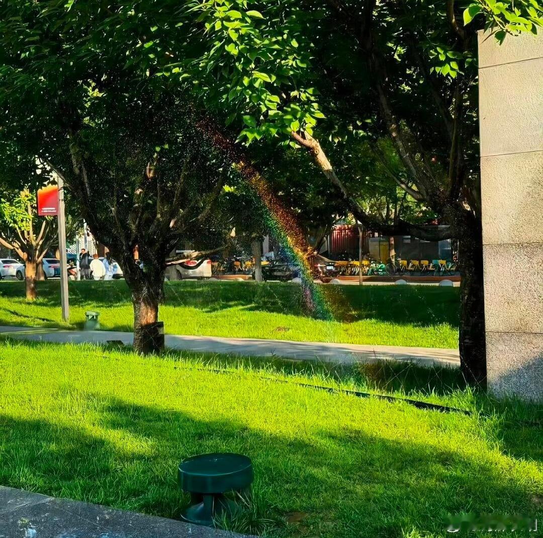 阳光穿过叶隙，在草地上织出流动的光斑，连空气中的水汽都折射出彩虹色的惊喜。被绿意