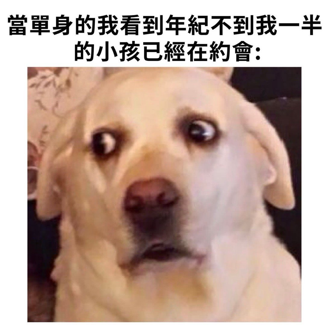 已经老了吗#meme# ​​​